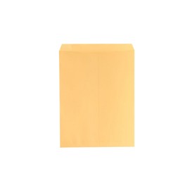 SOBRE BOLSA FORTEC B-40-RA TAMAÑO RADIOGRAFIA