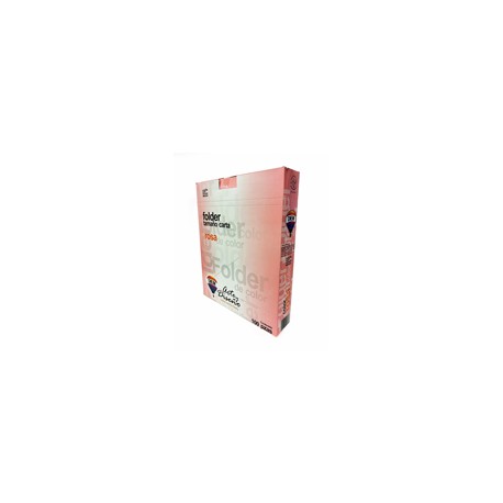 FOLDER DIEM CARTA ROSA PASTEL C/100